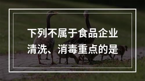 下列不属于食品企业清洗、消毒重点的是