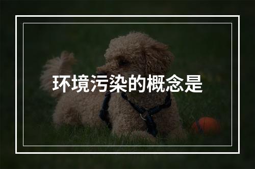 环境污染的概念是