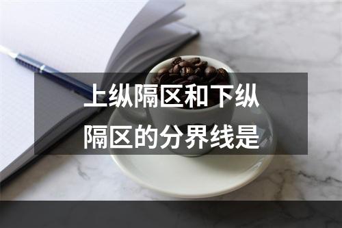 上纵隔区和下纵隔区的分界线是