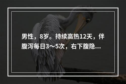 男性，8岁。持续高热12天，伴腹泻每日3～5次，右下腹隐痛住