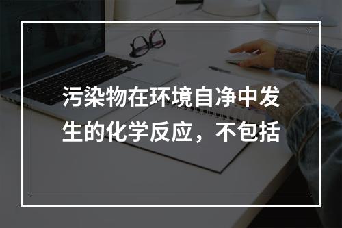 污染物在环境自净中发生的化学反应，不包括