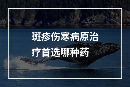 斑疹伤寒病原治疗首选哪种药