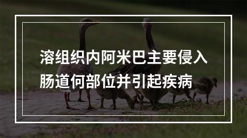 溶组织内阿米巴主要侵入肠道何部位并引起疾病