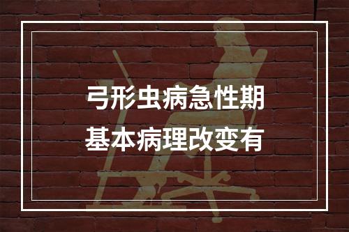 弓形虫病急性期基本病理改变有