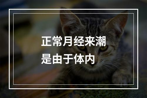 正常月经来潮是由于体内