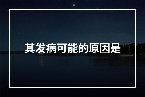 其发病可能的原因是