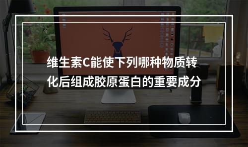 维生素C能使下列哪种物质转化后组成胶原蛋白的重要成分