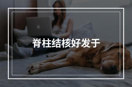 脊柱结核好发于