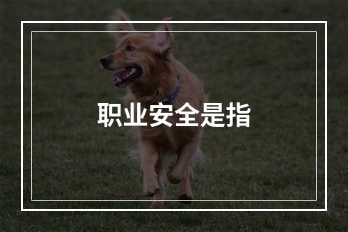 职业安全是指