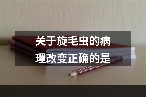 关于旋毛虫的病理改变正确的是