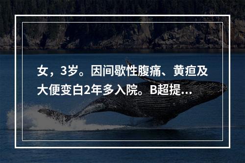 女，3岁。因间歇性腹痛、黄疸及大便变白2年多入院。B超提示肝