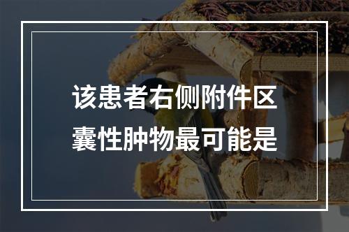 该患者右侧附件区囊性肿物最可能是