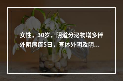 女性，30岁，阴道分泌物增多伴外阴瘙痒5日，查体外阴及阴道黏