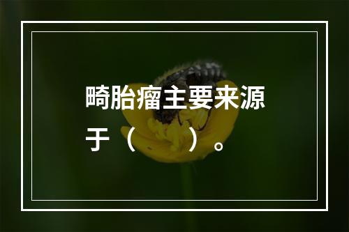 畸胎瘤主要来源于（　　）。