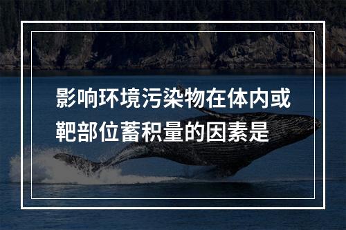 影响环境污染物在体内或靶部位蓄积量的因素是