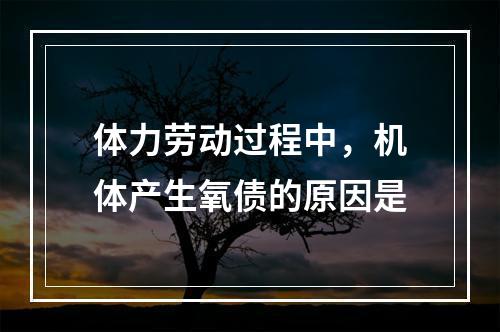 体力劳动过程中，机体产生氧债的原因是