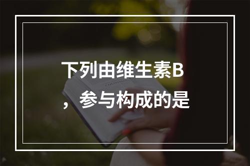 下列由维生素B，参与构成的是