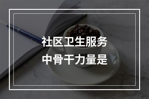 社区卫生服务中骨干力量是