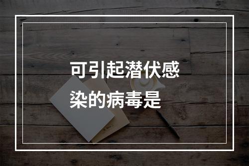 可引起潜伏感染的病毒是