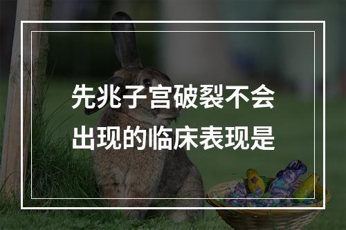 先兆子宫破裂不会出现的临床表现是