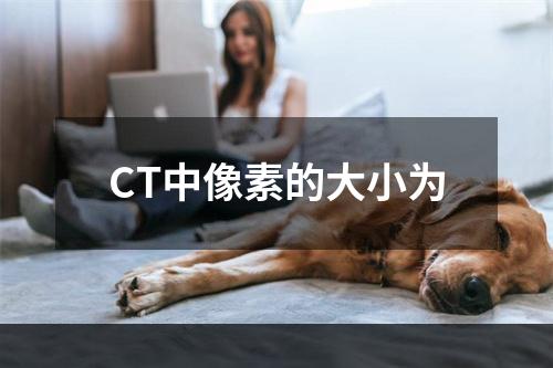 CT中像素的大小为