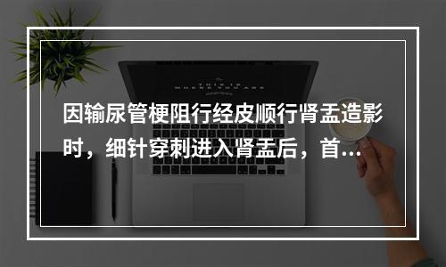 因输尿管梗阻行经皮顺行肾盂造影时，细针穿刺进入肾盂后，首先应