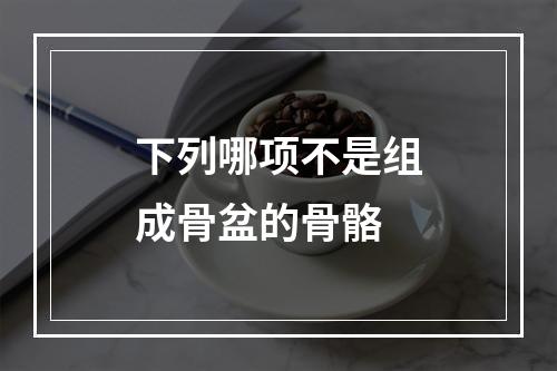 下列哪项不是组成骨盆的骨骼