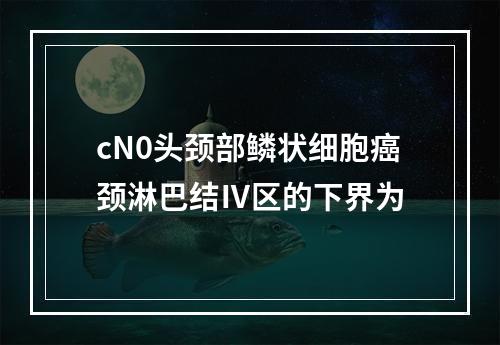 cN0头颈部鳞状细胞癌颈淋巴结Ⅳ区的下界为