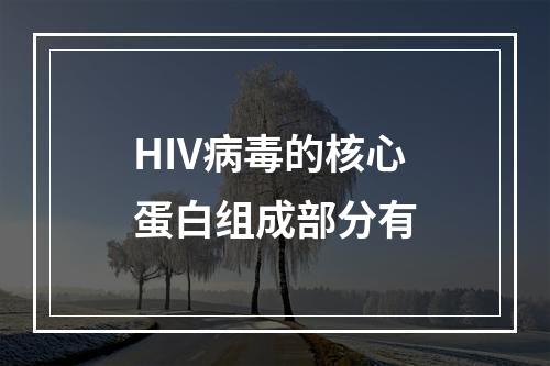 HIV病毒的核心蛋白组成部分有