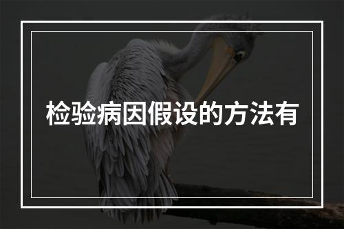 检验病因假设的方法有