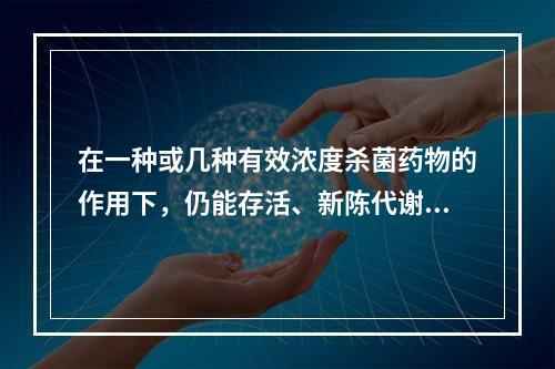 在一种或几种有效浓度杀菌药物的作用下，仍能存活、新陈代谢呈休