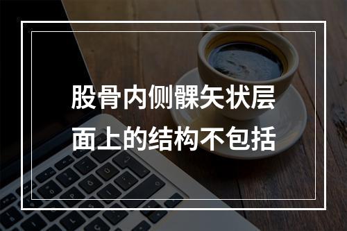 股骨内侧髁矢状层面上的结构不包括