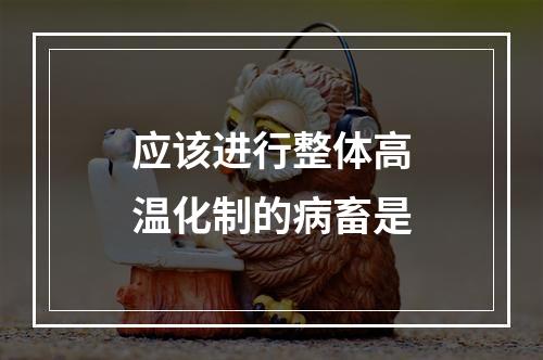 应该进行整体高温化制的病畜是