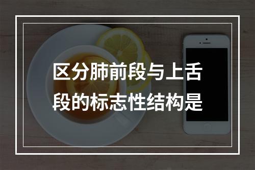 区分肺前段与上舌段的标志性结构是