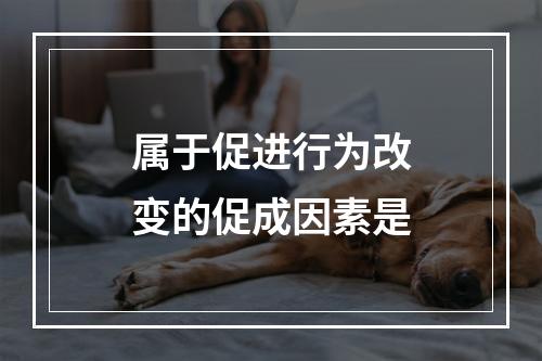 属于促进行为改变的促成因素是