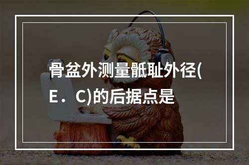 骨盆外测量骶耻外径(E．C)的后据点是