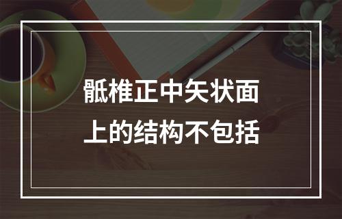 骶椎正中矢状面上的结构不包括