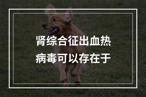 肾综合征出血热病毒可以存在于