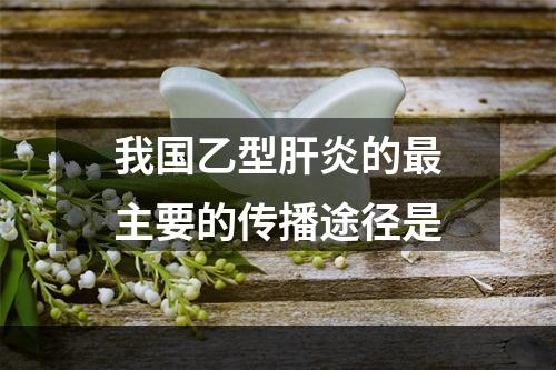 我国乙型肝炎的最主要的传播途径是