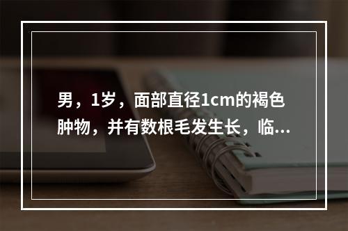 男，1岁，面部直径1cm的褐色肿物，并有数根毛发生长，临床诊