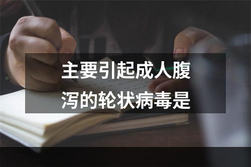 主要引起成人腹泻的轮状病毒是