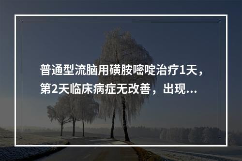 普通型流脑用磺胺嘧啶治疗1天，第2天临床病症无改善，出现颅高