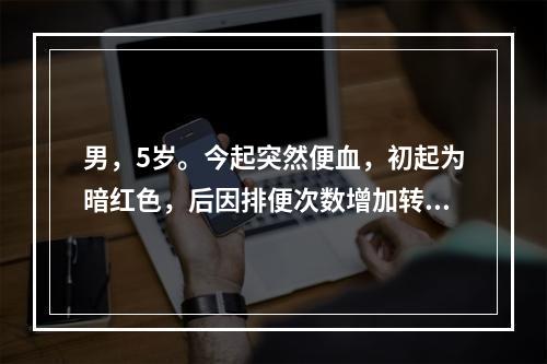 男，5岁。今起突然便血，初起为暗红色，后因排便次数增加转为鲜