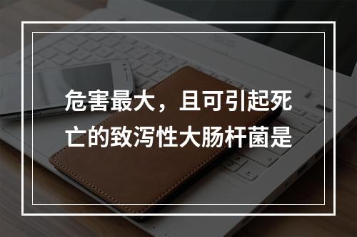 危害最大，且可引起死亡的致泻性大肠杆菌是