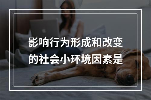 影响行为形成和改变的社会小环境因素是