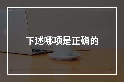 下述哪项是正确的