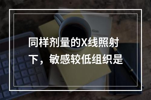 同样剂量的X线照射下，敏感较低组织是