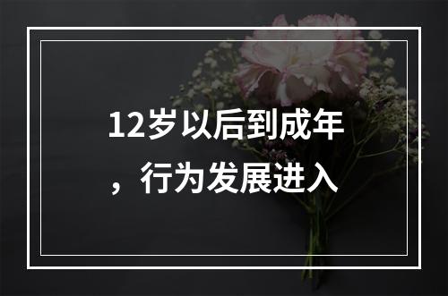 12岁以后到成年，行为发展进入