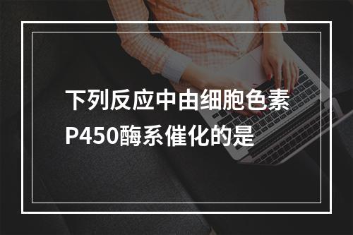 下列反应中由细胞色素P450酶系催化的是