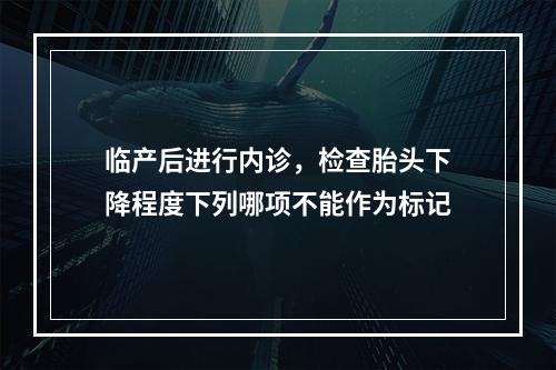 临产后进行内诊，检查胎头下降程度下列哪项不能作为标记